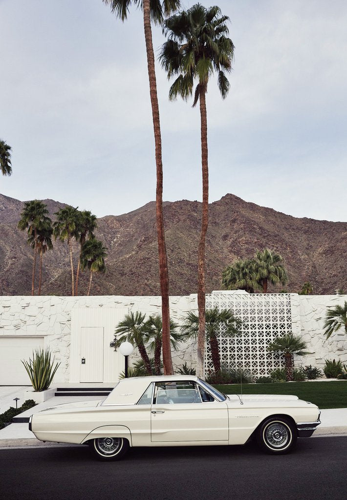 THUNDERBIRD, PALM SPRINGS - DAMIAN BENNETT