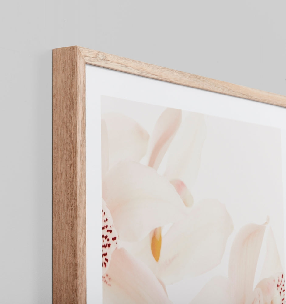 PEACH ORCHID 3, FRAMED PRINT