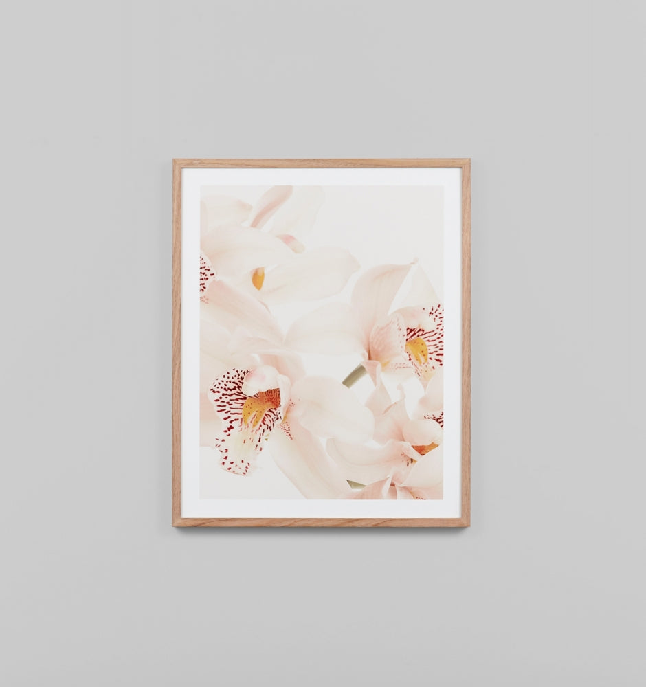 PEACH ORCHID 3, FRAMED PRINT